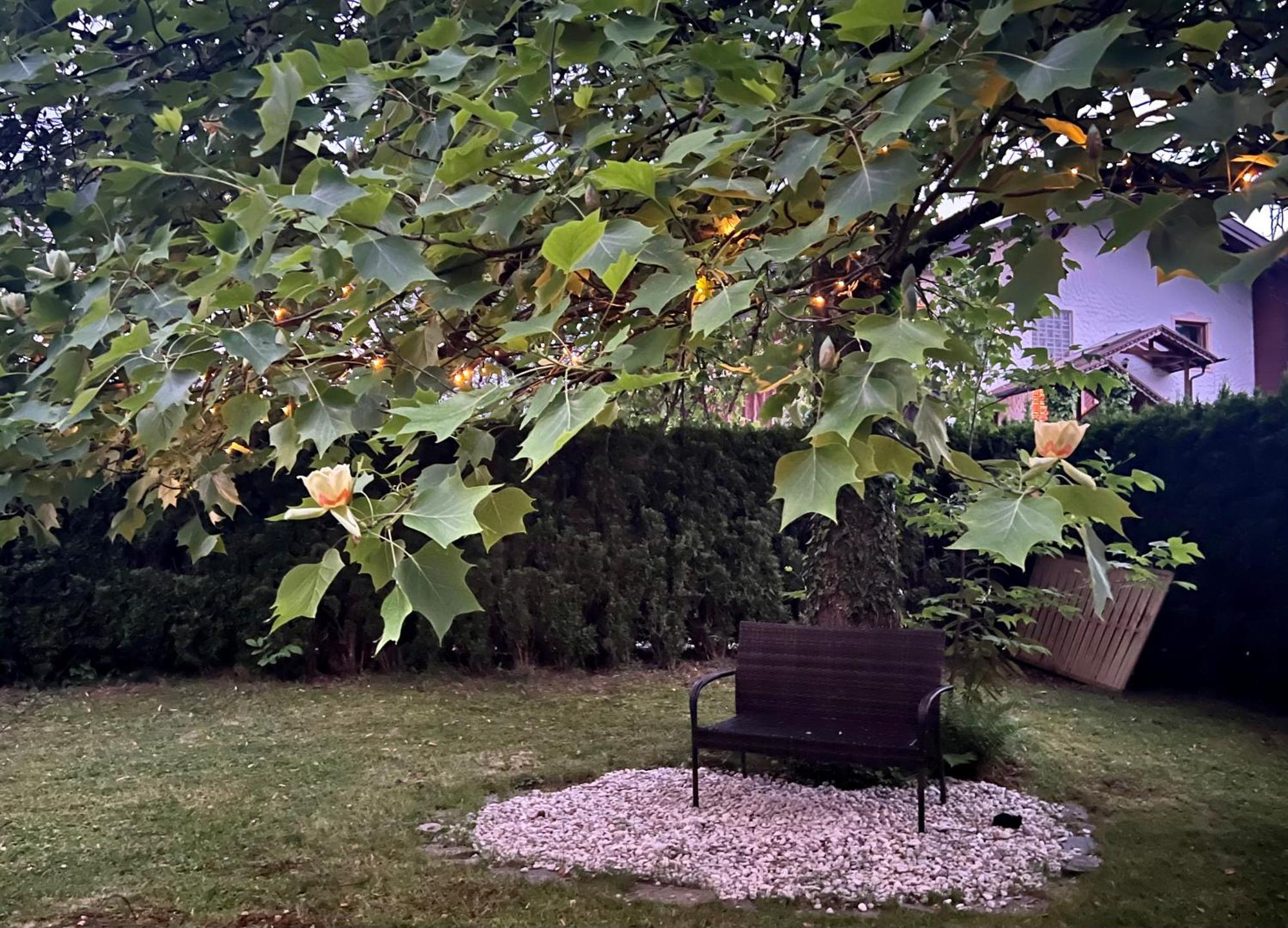 Haus Mit Garten Eugendorf Zewnętrze zdjęcie